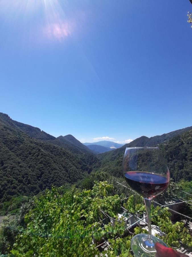 B&B La Locanda Del Cinghiale Aurano Εξωτερικό φωτογραφία