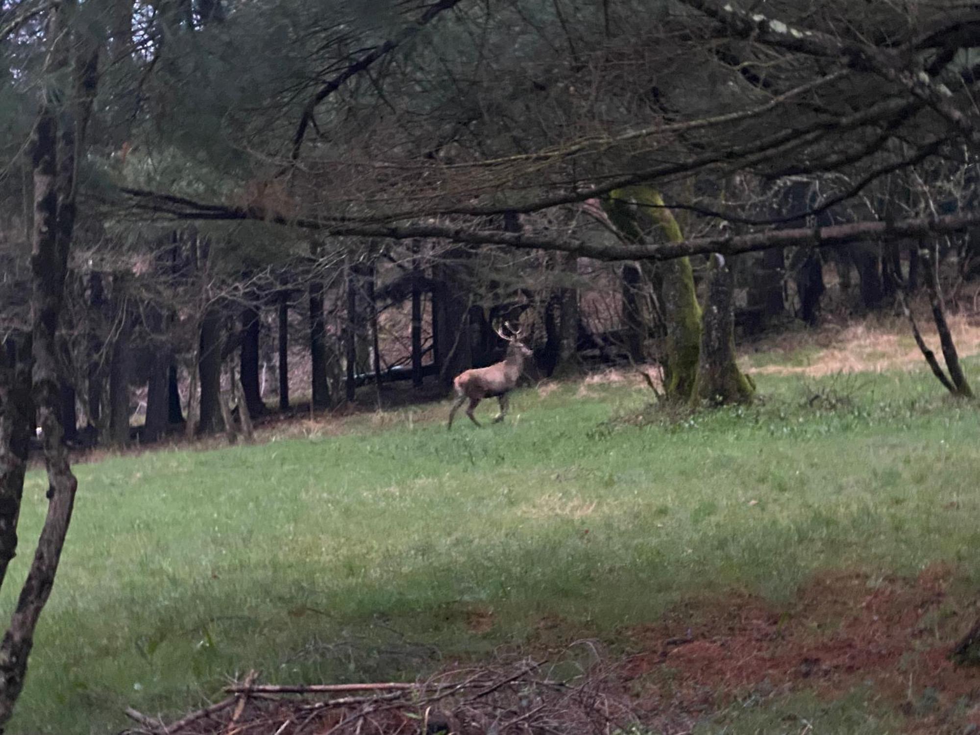 B&B La Locanda Del Cinghiale Aurano Εξωτερικό φωτογραφία